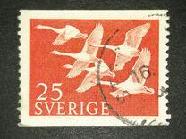 [Norden Stamps - Birds, type DY]