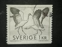 [Canal and Crane Dance, Tip HK]