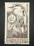 [Water Birds, type ZB]