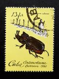 [Insects, tip CZN]