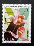 [Orchids, Tipo DAS]