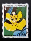 [Orchids, Tipo DAT]