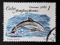 [Marine Mammals, type DAY]