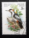 [Protected Birds, type ETQ]