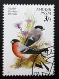 [Protected Birds, type ETR]