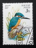 [Protected Birds, type ETS]