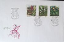 [Flora - Orchids, Tip AB]