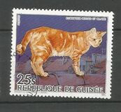 [Cats and Dogs, type ABJ]