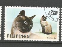 [Dogs and Cats, τύπος AOW]