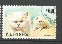 [Dogs and Cats, τύπος AOY]