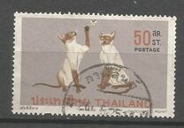 [Siamese Cats, 类型 NL]