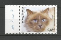 [International Cat Show, Monte Carlo, type DIV]