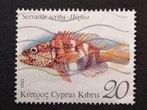 [Fish, Tipe XR]
