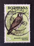 [Birds, Вид U]