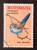 [Birds, Вид V]