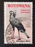[Birds, Вид W]