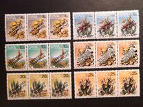 [Universal Suffrage, type DV1]