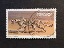 [Wild Mammals, type HR]