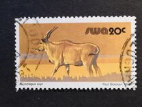 [Wild Mammals, type HT]
