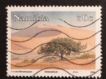[Namib Desert Scenery, Tipe BY]