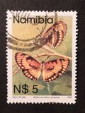 [Butterflies, type CS]