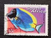 [Fauna and Flora - Fish, type ASO]