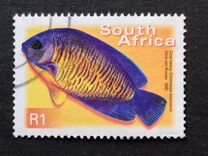 [Fauna and Flora - Fish, type ASS]