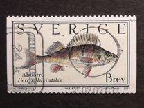 [Fish - Self-Adhesive Paper, type BMS]