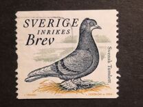 [Doves and Pigeons, type BTG]