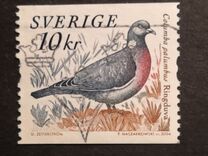 [Doves and Pigeons, type BTI]