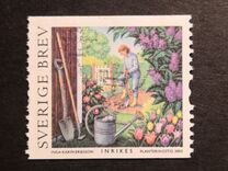 [Summer at the Allotment, Tip BVN]