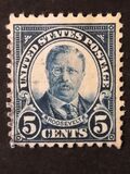 [Theodore Roosevelt, 1858-1919, type EU]