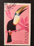[Birds, tipas RC]