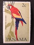 [Birds, tipas RD]