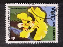 [Orchids, Tipo DAT]