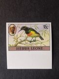 [Birds, type FA]