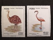 [Wildlife Protection, type WJ]