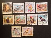 [Birds, type XE]
