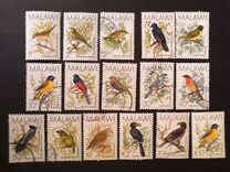 [Birds, typ PT]