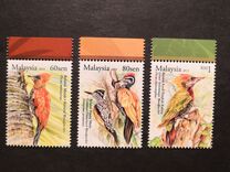 [Birds - Woodpecker, type BUR]
