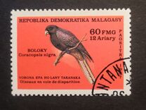 [Endangered Wildlife, type AGI]