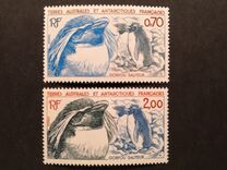 [Antarctic Wildlife, Tip FO]