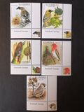 [Weaver Birds of Namibia, Tipi VS]