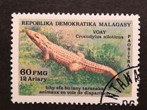 [Endangered Wildlife, type AGJ]