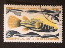 [Fish, tegund HQ]