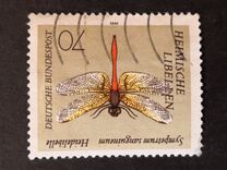[Goldsmith, type AXR]