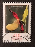 [Flowers - Orchids, type CQI]