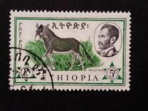[Ethiopian Fauna, type MH]
