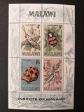 [Insects of Malawi, tip CI]