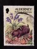 [Flora and Fauna, type BT]